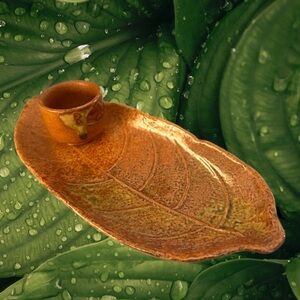 11” Sushi Plate & soy sauce cup.